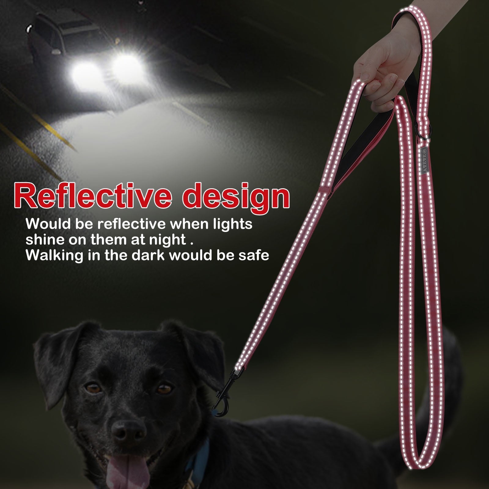 Dog Leash, Reflective Nylon Dog Lead with Two Padded Handles, Dog Leash for Training & Walking Perfect