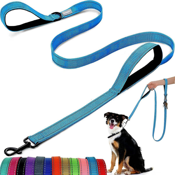 Dog Lead - With Two Padded Handles, Two Dog Leads Modes,Double-Sided Reflective Nylon Dog Leash for Training&Walking Perfect for Medium &Large Dogs