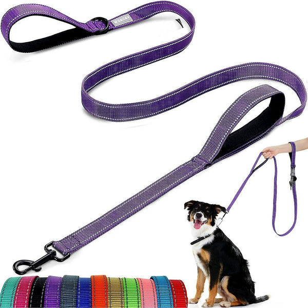 Dog Lead - With Two Padded Handles, Two Dog Leads Modes,Double-Sided Reflective Nylon Dog Leash for Training&Walking Perfect for Medium &Large Dogs