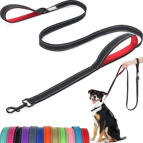 Dog Leash, Reflective Nylon Dog Lead with Two Padded Handles, Dog Leash for Training & Walking Perfect